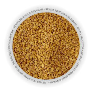 Alho Frito - Granel Premium