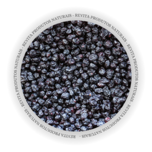 Blueberries - Granel Premium