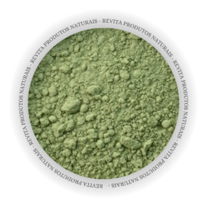 Ora Pro Nobis em Pó - Granel Premium